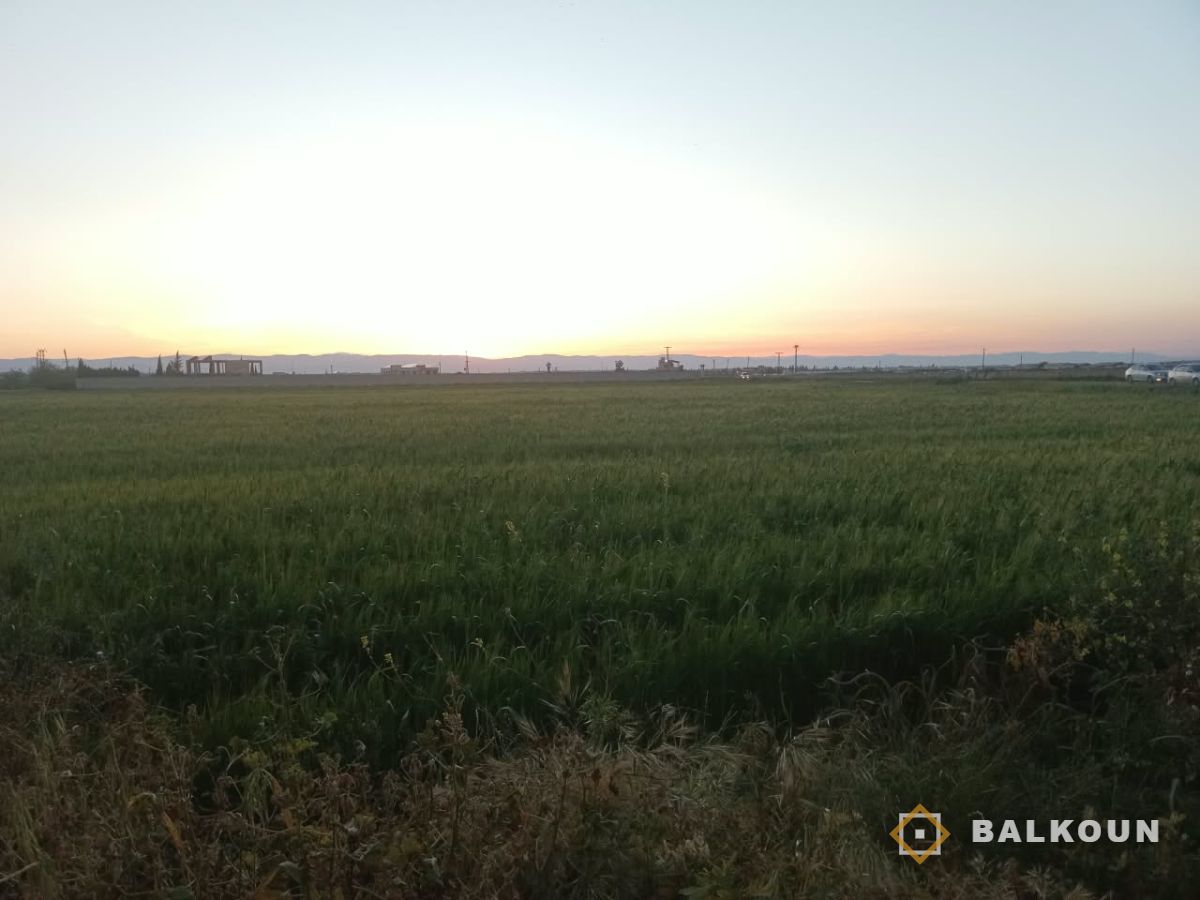 Agricultural land for sale, 10000 m² in Alshiha, Rural Hama, Syria | Balkoun