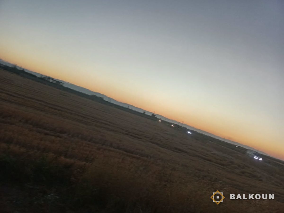Agricultural land — photo 2