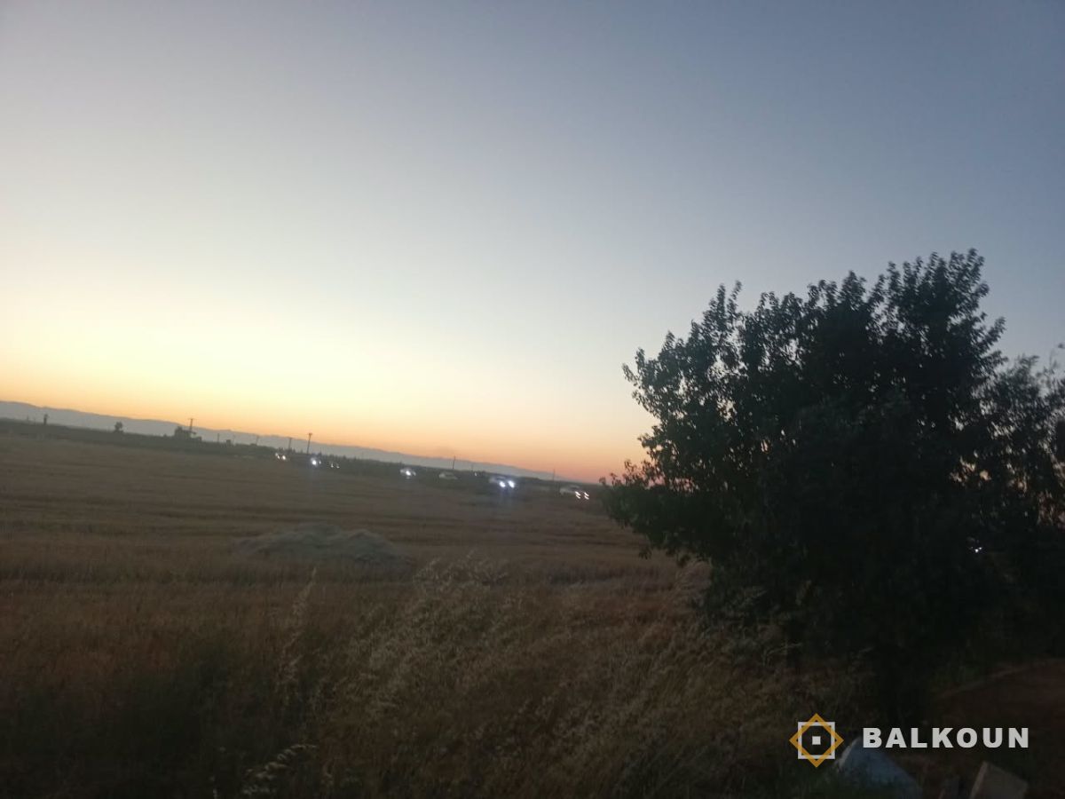 Agricultural land — photo 3