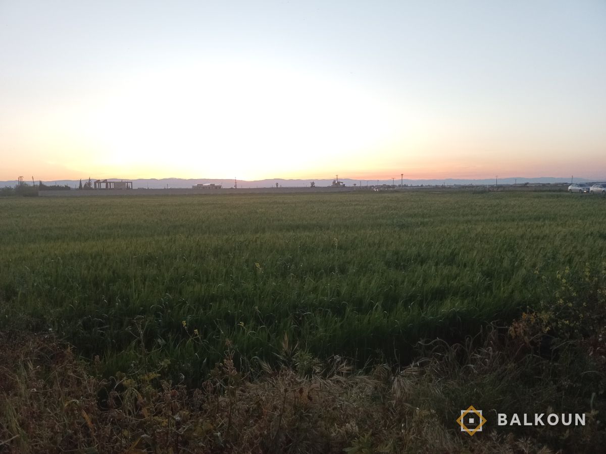 Agrarland zum Kauf, 2000 m² in Alshiha, Hama, Syrien | Balkoun