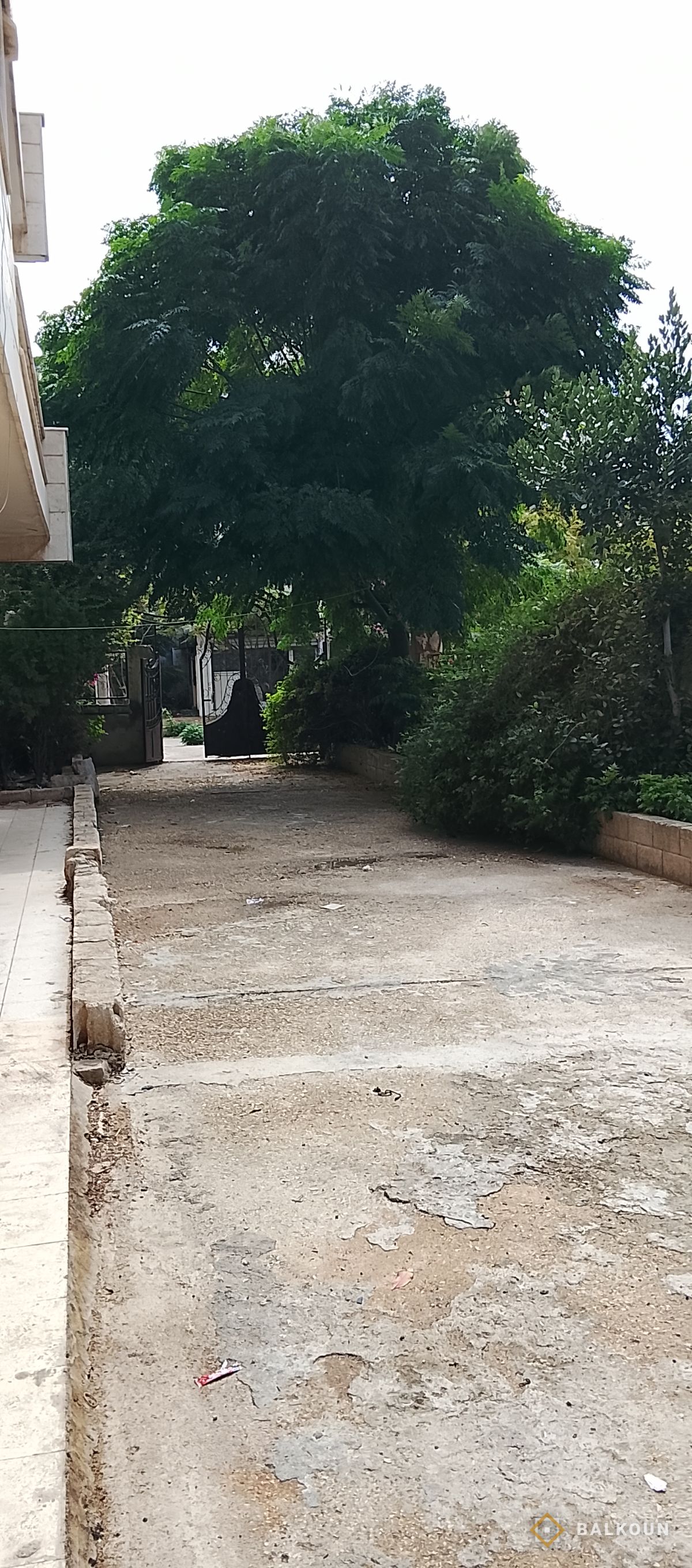 Wohnung — Foto 6