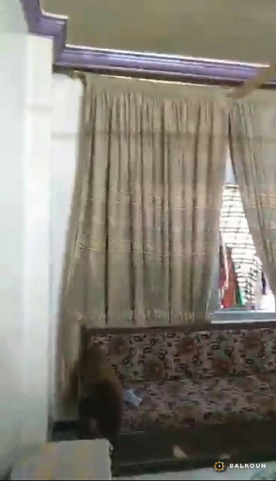 شقة في القزاز