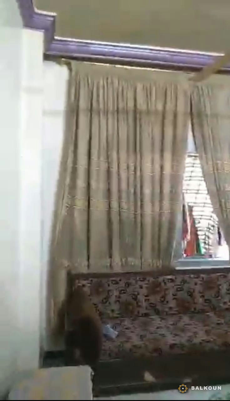 Wohnung zum Kauf, 55 m² in Al-Qazzaz, Damaskus, Syrien | Balkoun